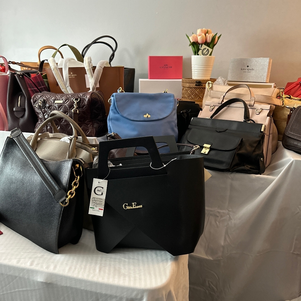 Bags and rehab and nwot bags